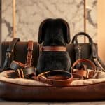 Luxury Pet Accessories