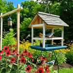 Attract birds with feeders and plants