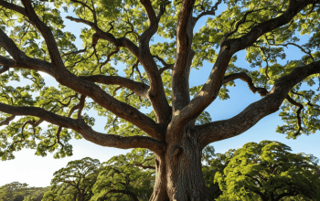 Long-term wealth building strategies through investing