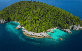 Visiting Snake Island Brazil danger zone