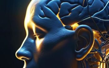 Cognitive Dissonance Neurobiology brain concept illustration.